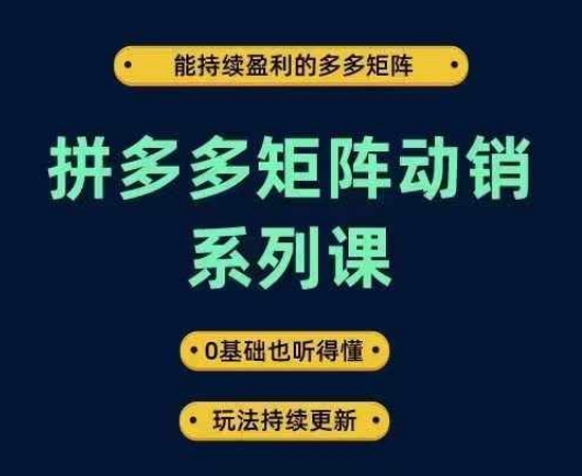 拼多多矩阵动销系列课，能持续盈利的多多矩阵，0基础也听得懂，玩法持续更新-云创网