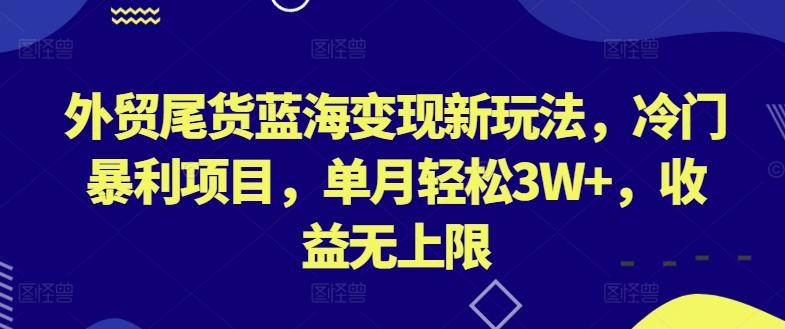外贸尾货蓝海变现新玩法，冷门暴利项目，单月轻松3W+，收益无上限【揭秘】-云创网