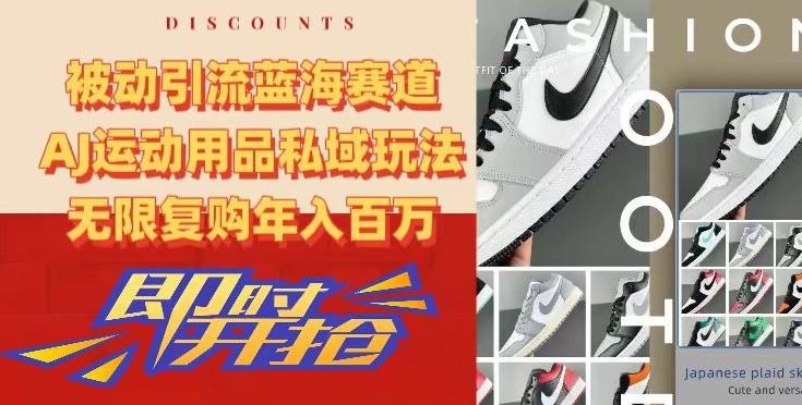 被动引流蓝海赛道，AJ运动用品私域玩法，无限复购年入百万【揭秘】-云创网