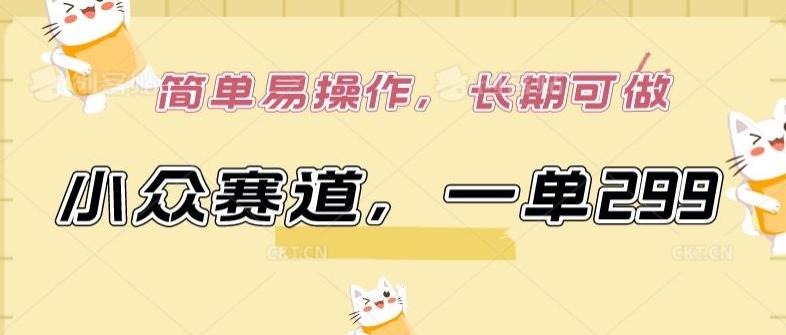 小众赛道，一单299.简单易操作，长期可做【揭秘】-云创网