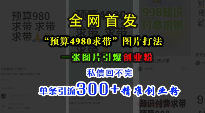 小红书“预算4980带我飞”图片打法，一张图片引爆创业粉，私信回不完，单条引流300+精准创业粉-云创网