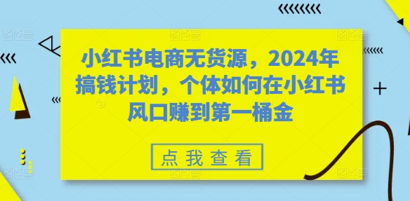 小红书电商无货源，2024年搞钱计划，个体如何在小红书风口赚到第一桶金-云创网