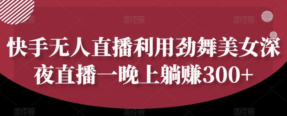 快手无人直播利用劲舞美女深夜直播一晚上躺赚300+-云创网
