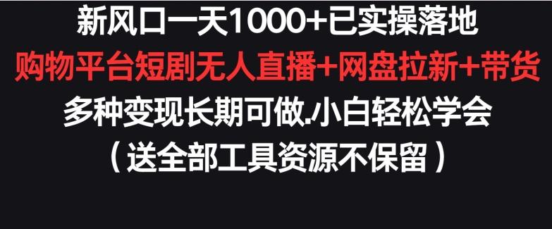 新风口一天1000+已实操落地购物平台短剧无人直播+网盘拉新+带货多种变现长期可做【揭秘】-云创网