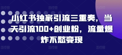 小红书独家引流三重奏，当天引流100+创业粉，流量爆炸不愁变现【揭秘】-云创网