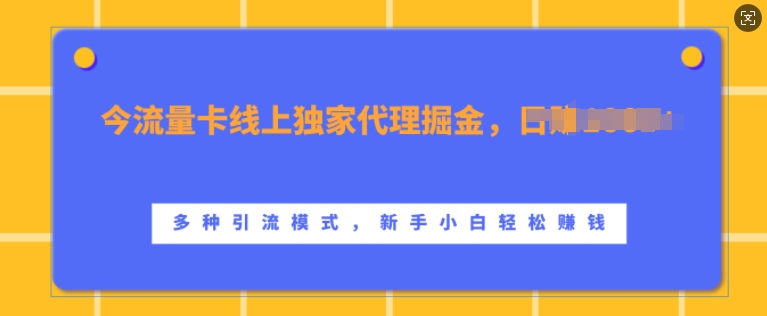 流量卡线上独家代理掘金，日入1k+ ，多种引流模式，新手小白轻松上手【揭秘】-云创网