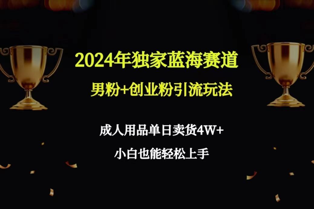 2024年独家蓝海赛道男粉+创业粉引流玩法，成人用品单日卖货4W+保姆教程-云创网