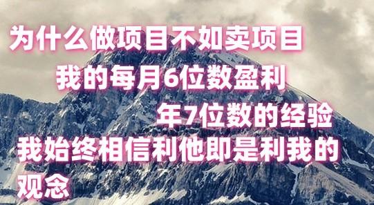 做项目不如卖项目，每月6位数盈利，年7位数经验-云创网