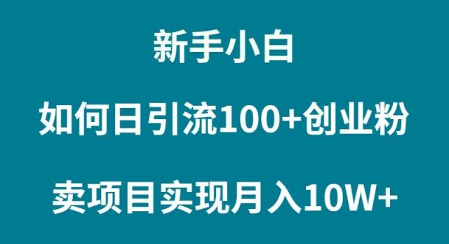 (9556期)新手小白如何通过卖项目实现月入10W+-云创网